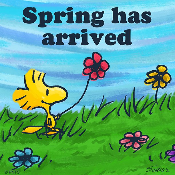 Spring